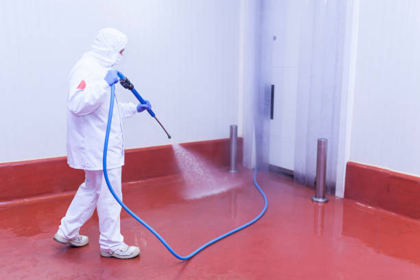 Pre-Holiday Cleaning in Blue Rapids, KS